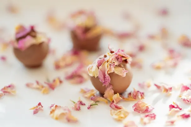 ペリカン カジノ Android/iOS アプリ